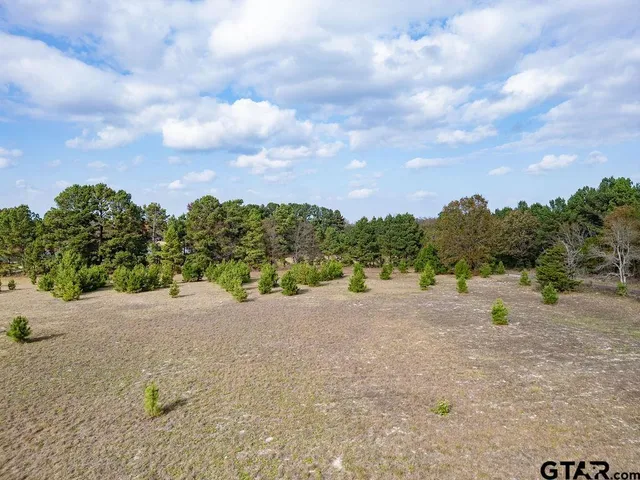 a view of beach and ocean