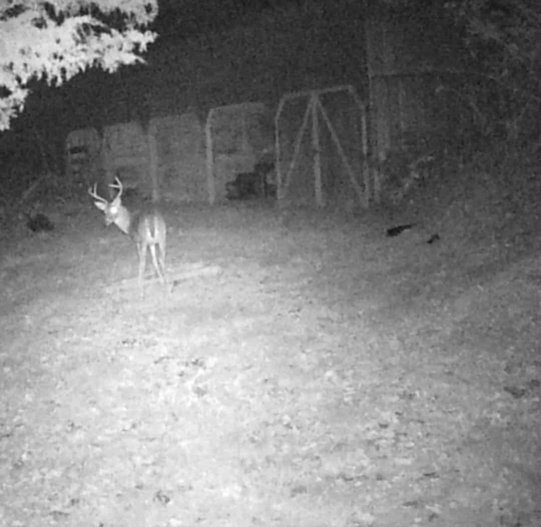 51 Turkey Town Road Hilham, TN 38568 - Photo 24 of 31