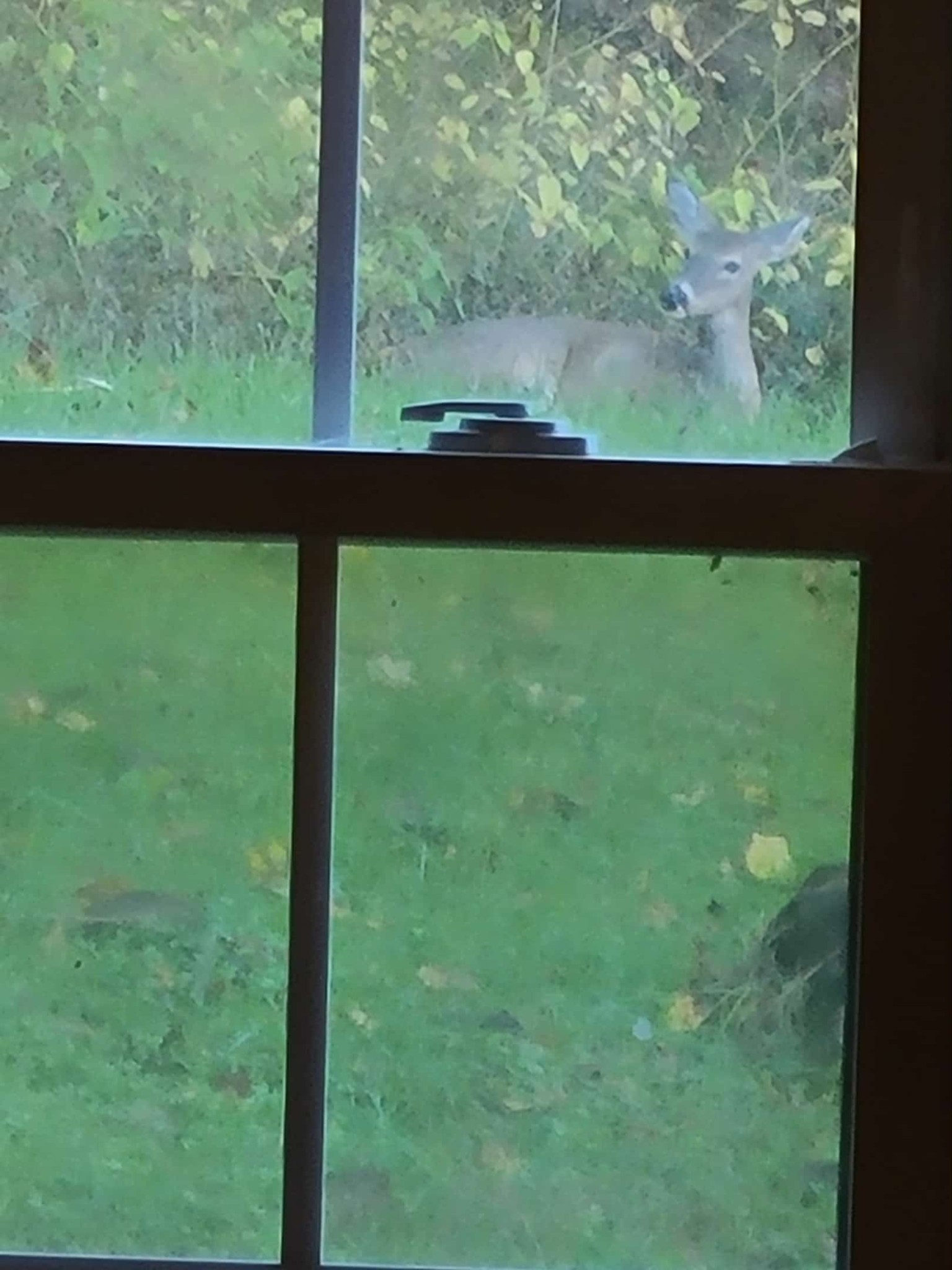 51 Turkey Town Road Hilham, TN 38568 - Photo 25 of 31