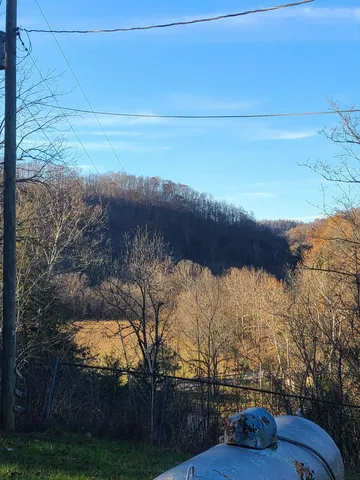 a view of a yard with plants and trees