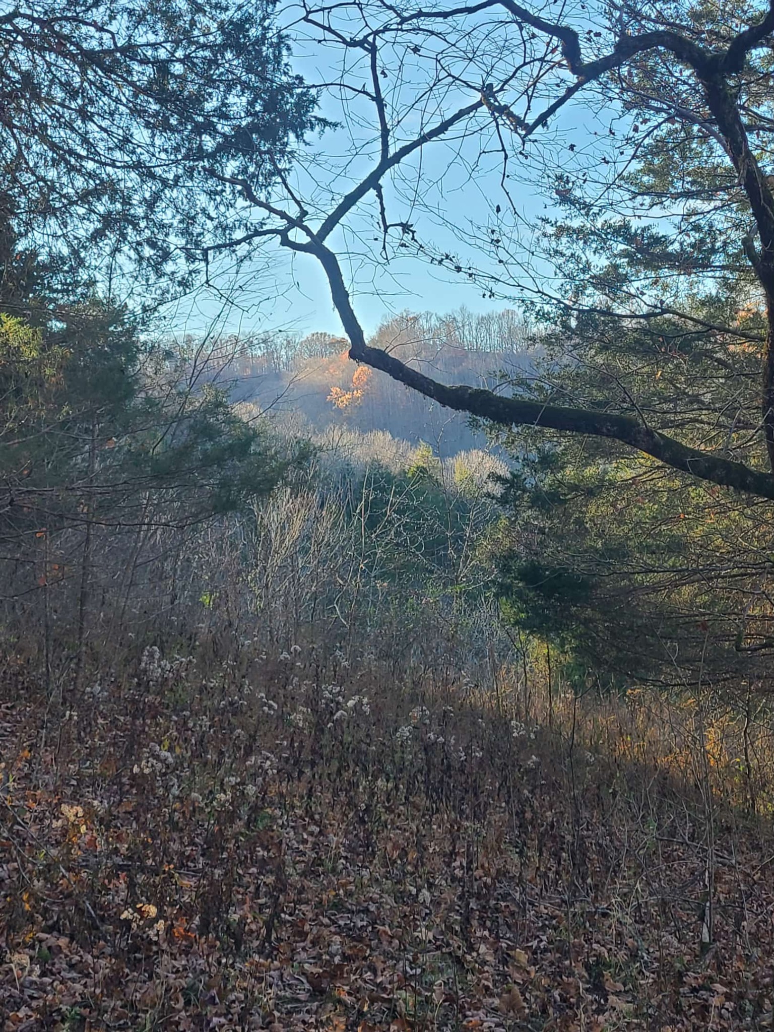 51 Turkey Town Road Hilham, TN 38568 - Photo 27 of 31