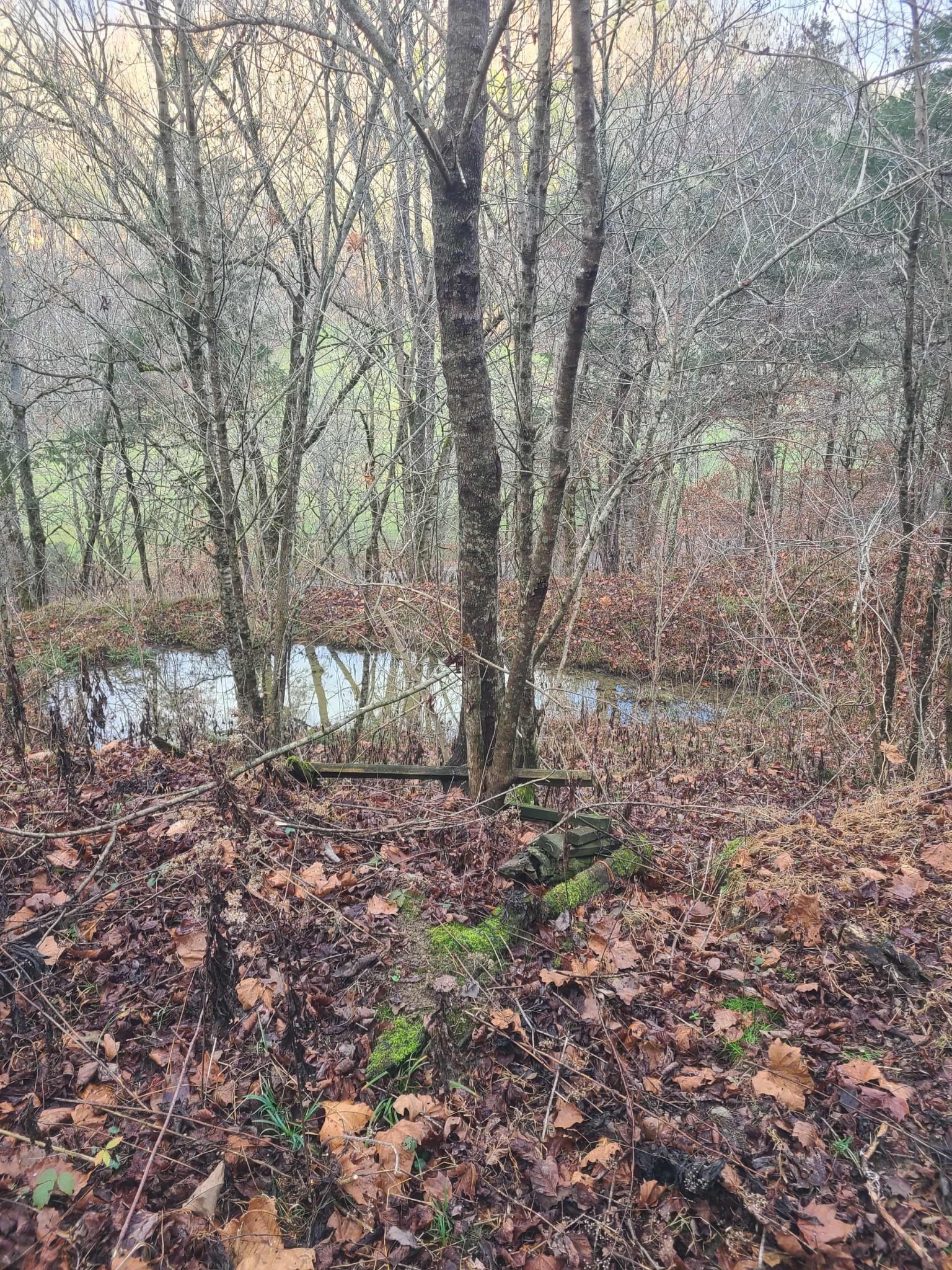 51 Turkey Town Road Hilham, TN 38568 - Photo 28 of 31