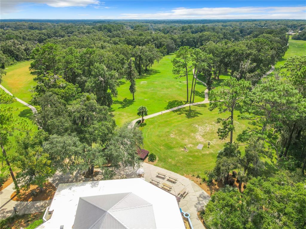 10043 Southwest 202nd Circle Dunnellon, FL 34431 - Photo 58 of 68