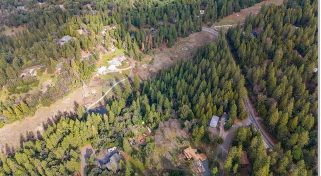 a view of a lush green forest with lots of trees