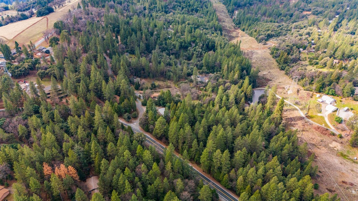 0 Red Corral Road Pioneer, CA 95666 - Photo 16 of 30 a view of a forest with a lush green forest