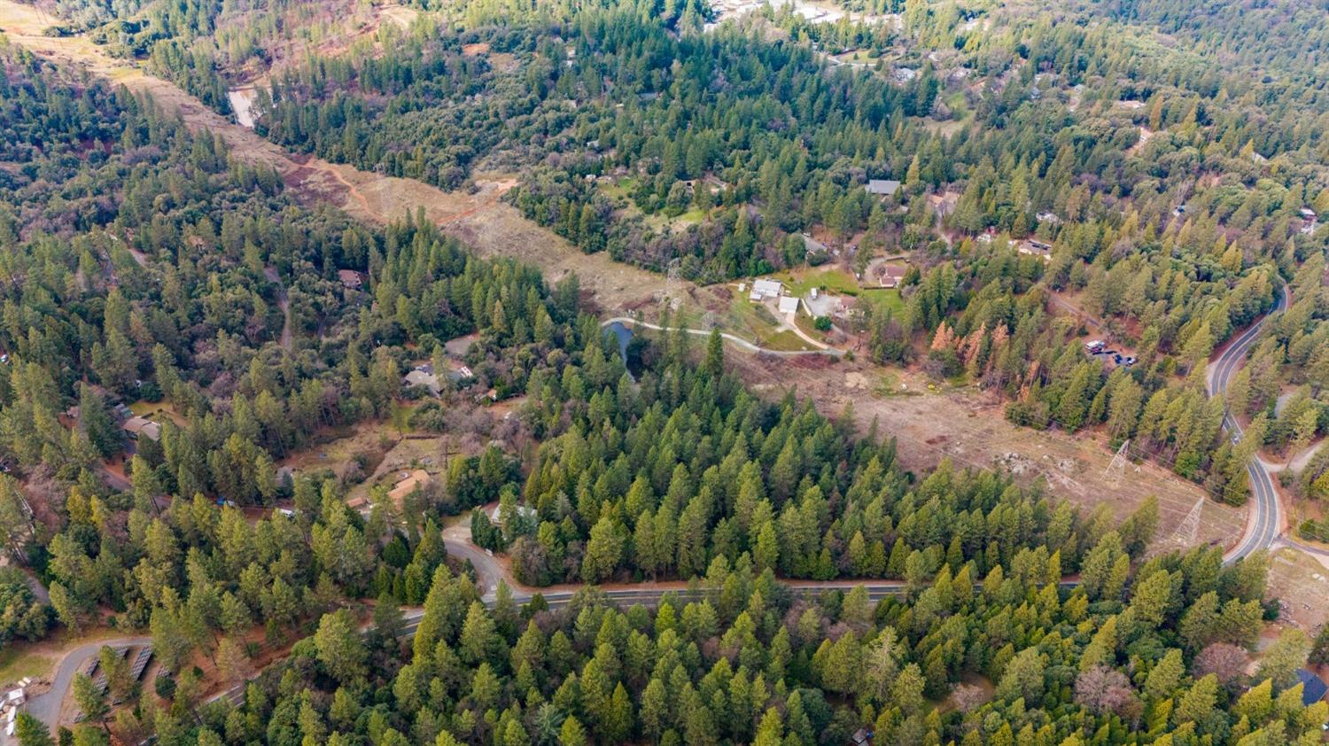 0 Red Corral Road Pioneer, CA 95666 - Photo 17 of 30 a view of a lush green forest with large trees