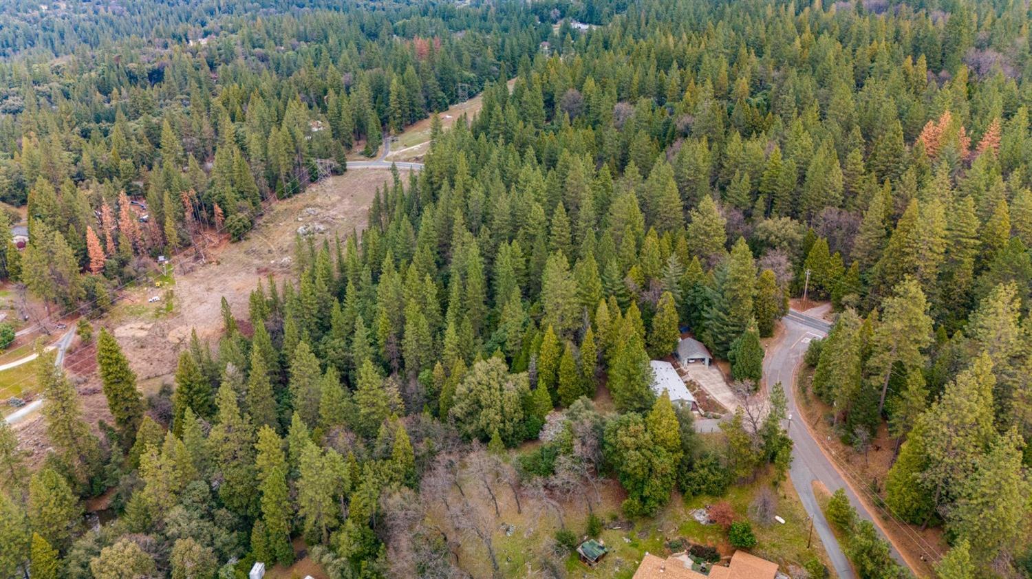 0 Red Corral Road Pioneer, CA 95666 - Photo 27 of 30 a view of a lush green forest with lots of trees