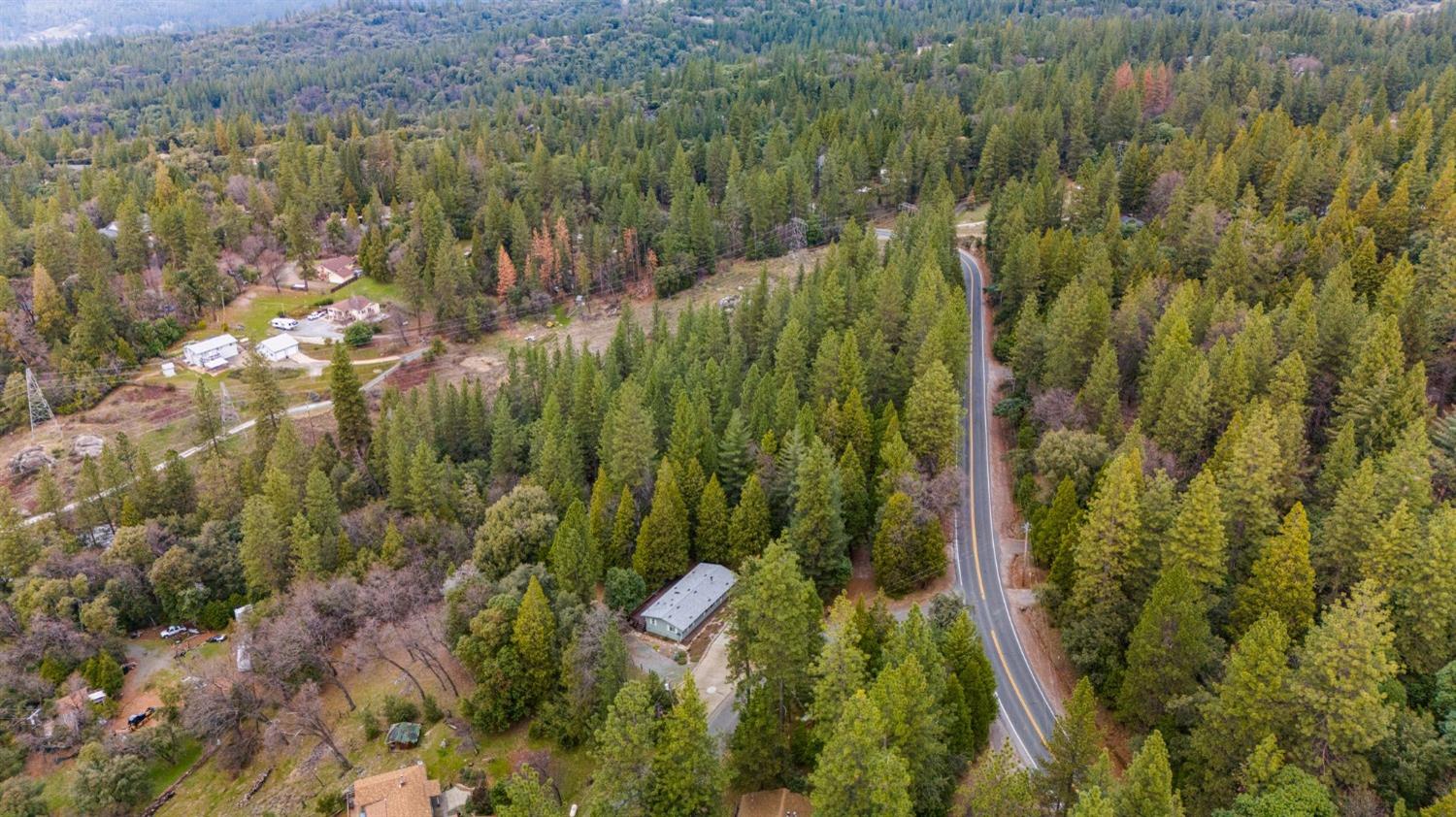 0 Red Corral Road Pioneer, CA 95666 - Photo 28 of 30 a view of forest