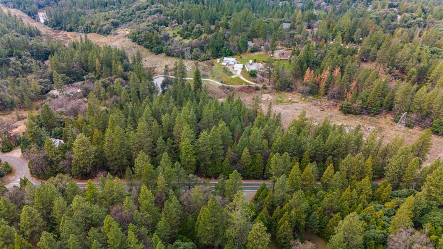 0 Red Corral Road Pioneer, CA 95666 - Photo 29 of 30 a view of a forest with a house