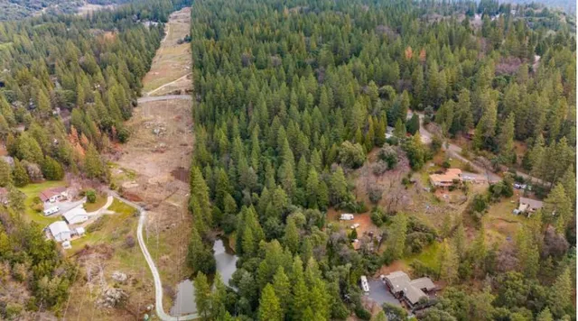 a view of a yard with a tree