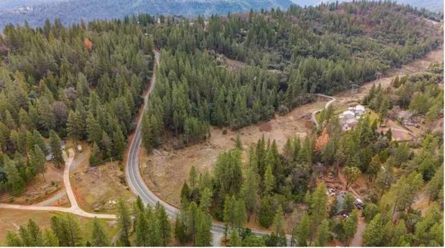 a view of a forest with a forest