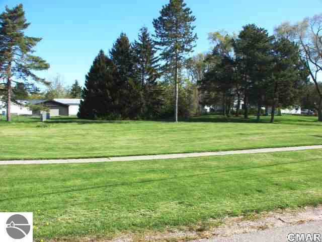 Tbd South Main Street Ithaca, MI 48847 - Photo 2 of 5 1764268-1.JPG