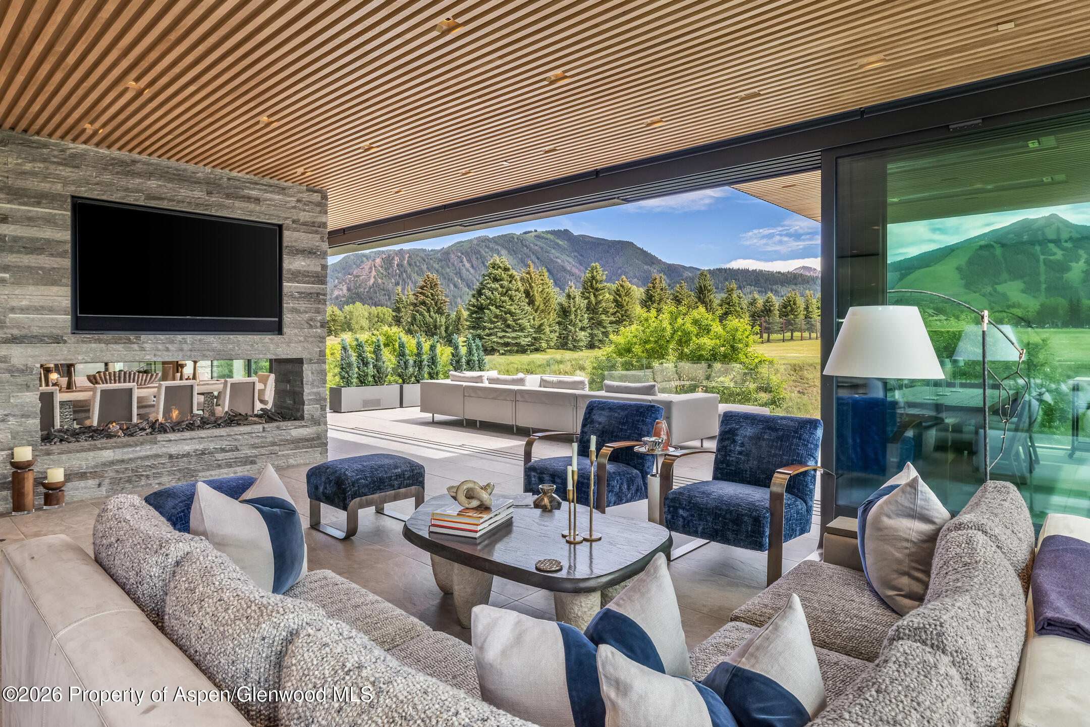 835 Chatfield Road Aspen, CO 81611 - Photo 5 of 13 Living Room