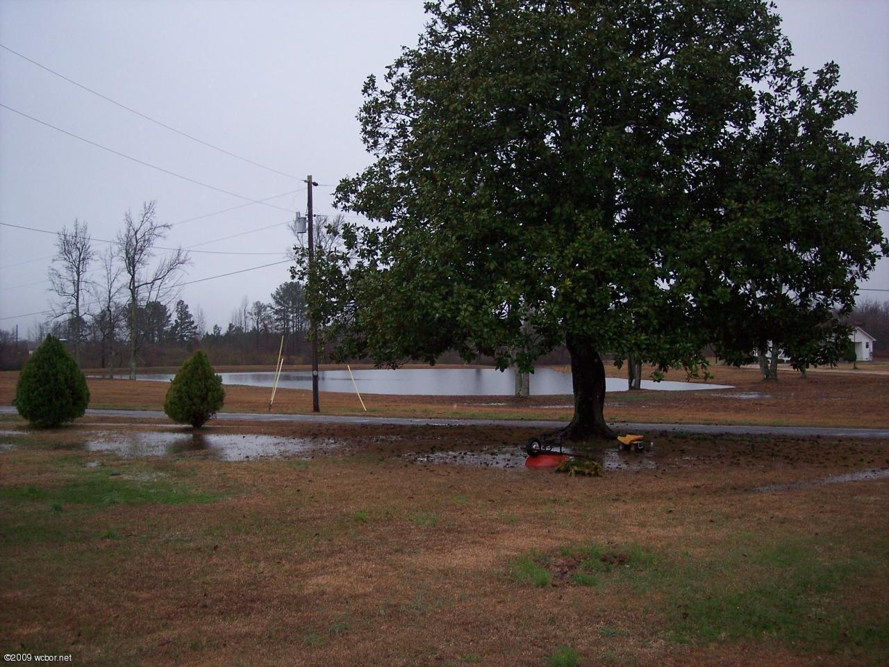 325 Corkren Road Winfield, AL 35594 - Photo 11 of 12 Gallery Image 11