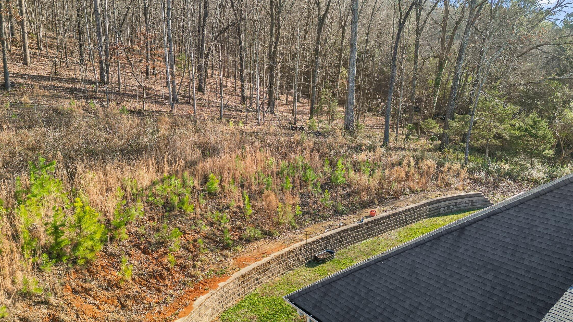 68 Buster Ridge Lane Ringgold, GA 30736 - Photo 42 of 54 44-Buster-44
