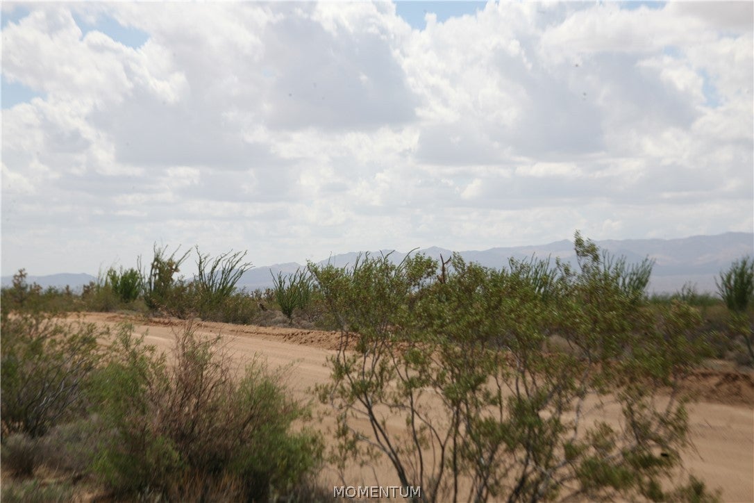 016 South Gene Autry Road Yucca, AZ 86438 - Photo 10 of 38 Gallery Image 10