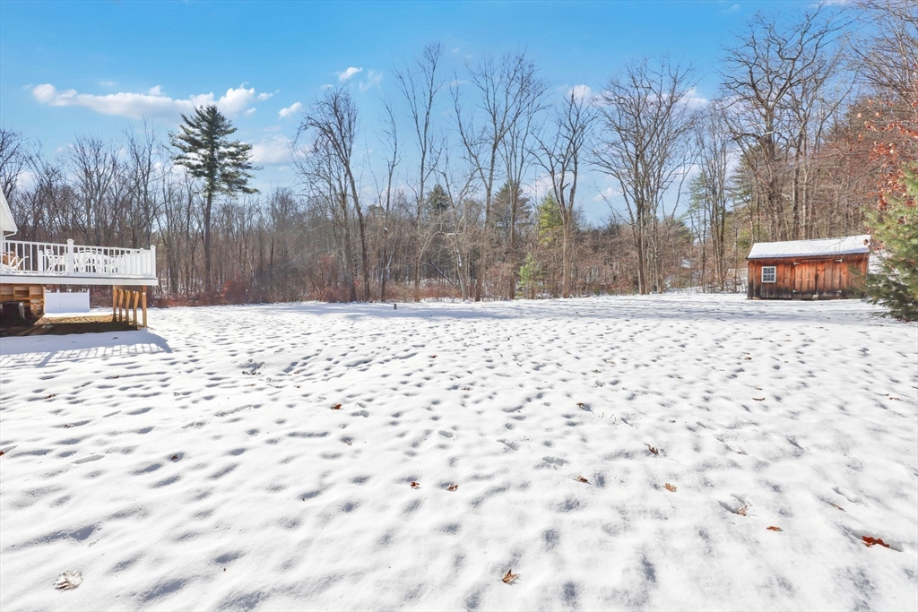 433 Ventura Street Ludlow, MA 01056 - Photo 33 of 39 a white house with a tree in front of it