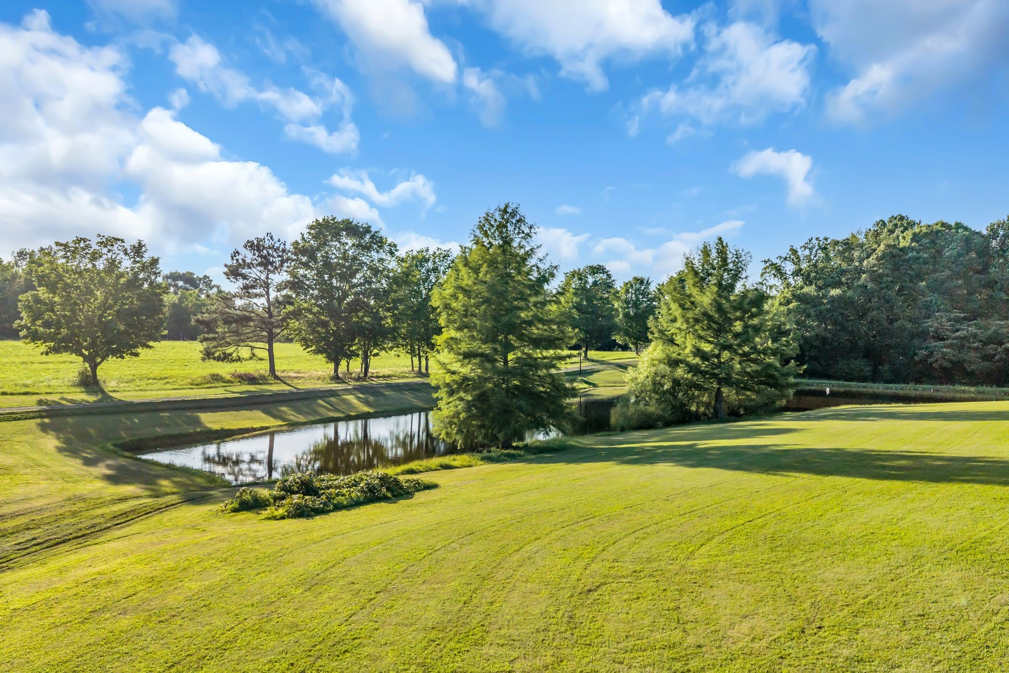 1231 Abiff Road Bon Aqua, TN 37025 - Photo 3 of 58