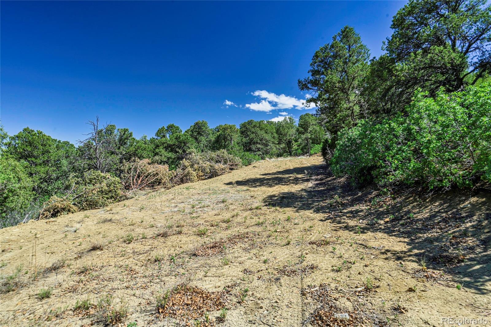 Fishers Peak Ranch Trinidad, CO 81082 - Photo 7 of 34