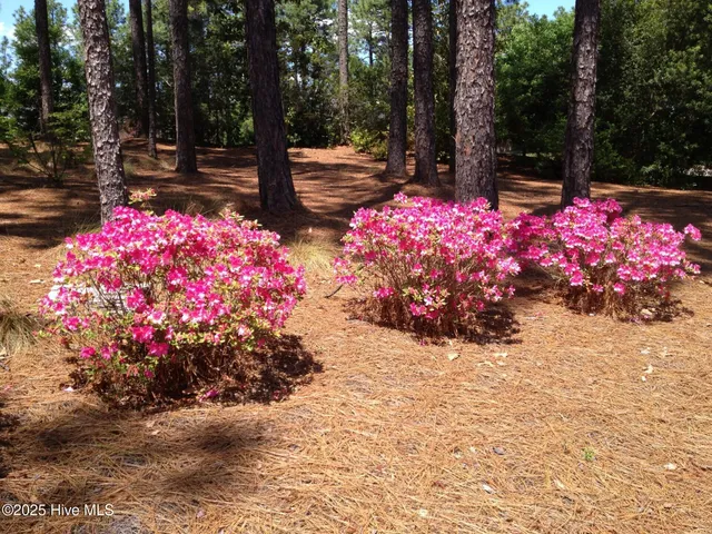 $598,000 | 167 Hunter Trail, Southern Pines, NC 28387