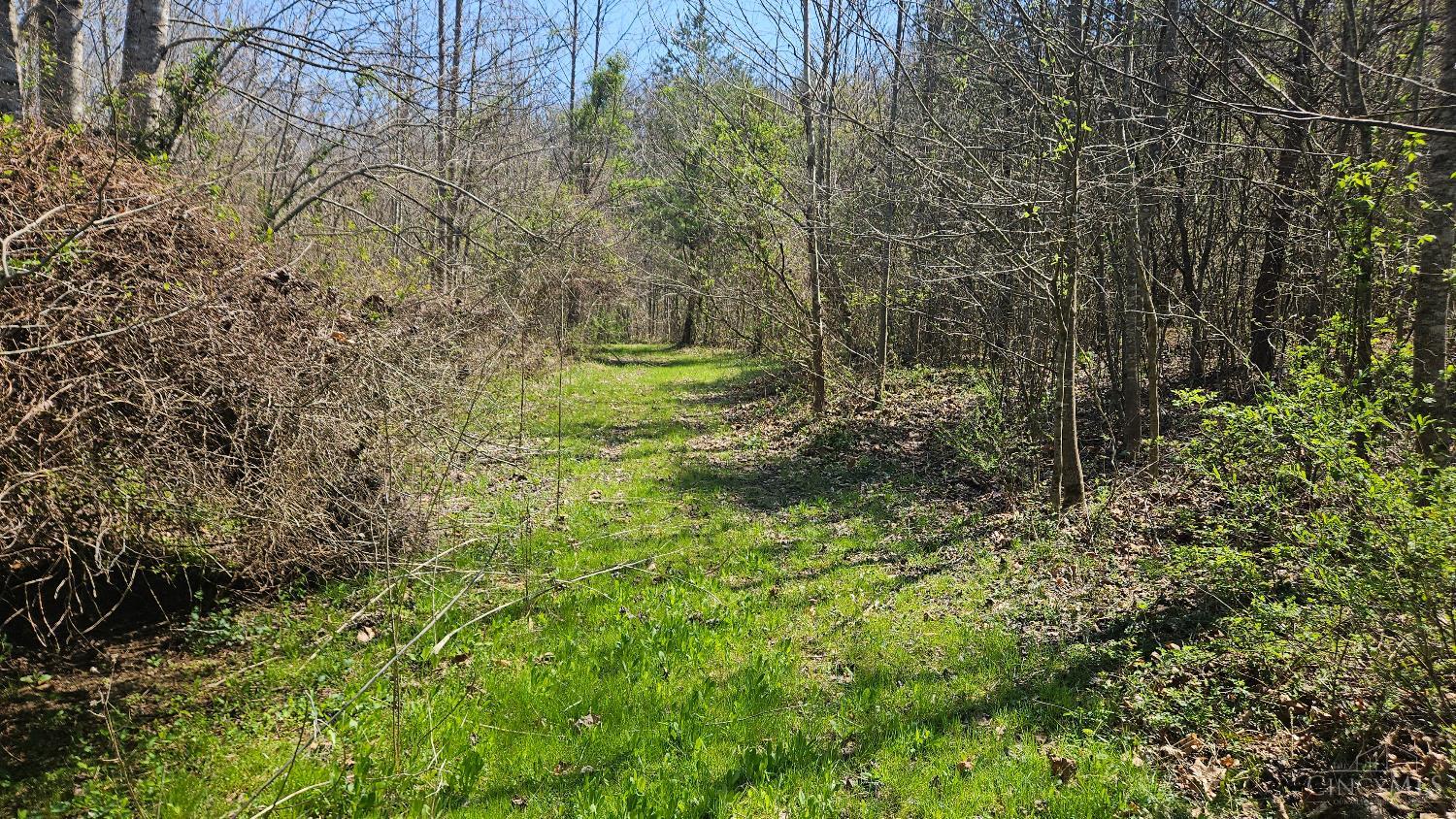0 Spruce Hollow Road South Webster, OH 45682 - Photo 9 of 54