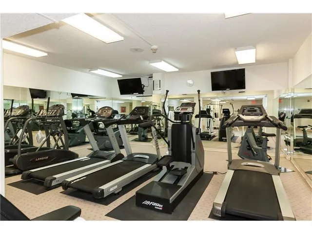 a living room with furniture potted plant and a window