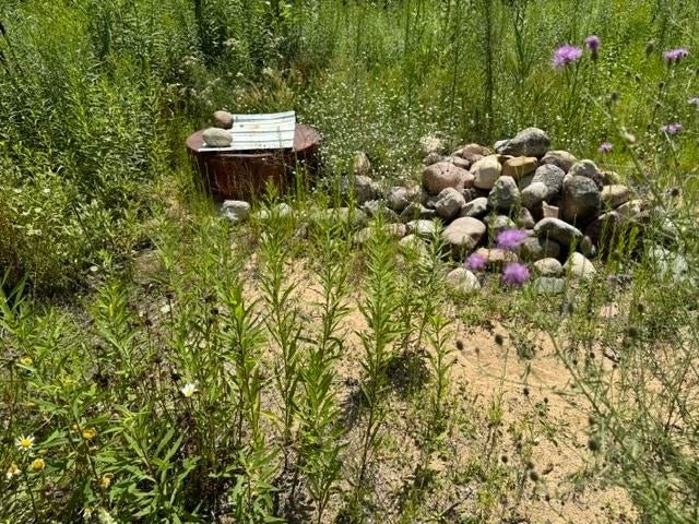 Gallery Image 7