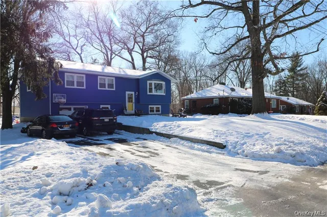 a view of a yard with a large tree