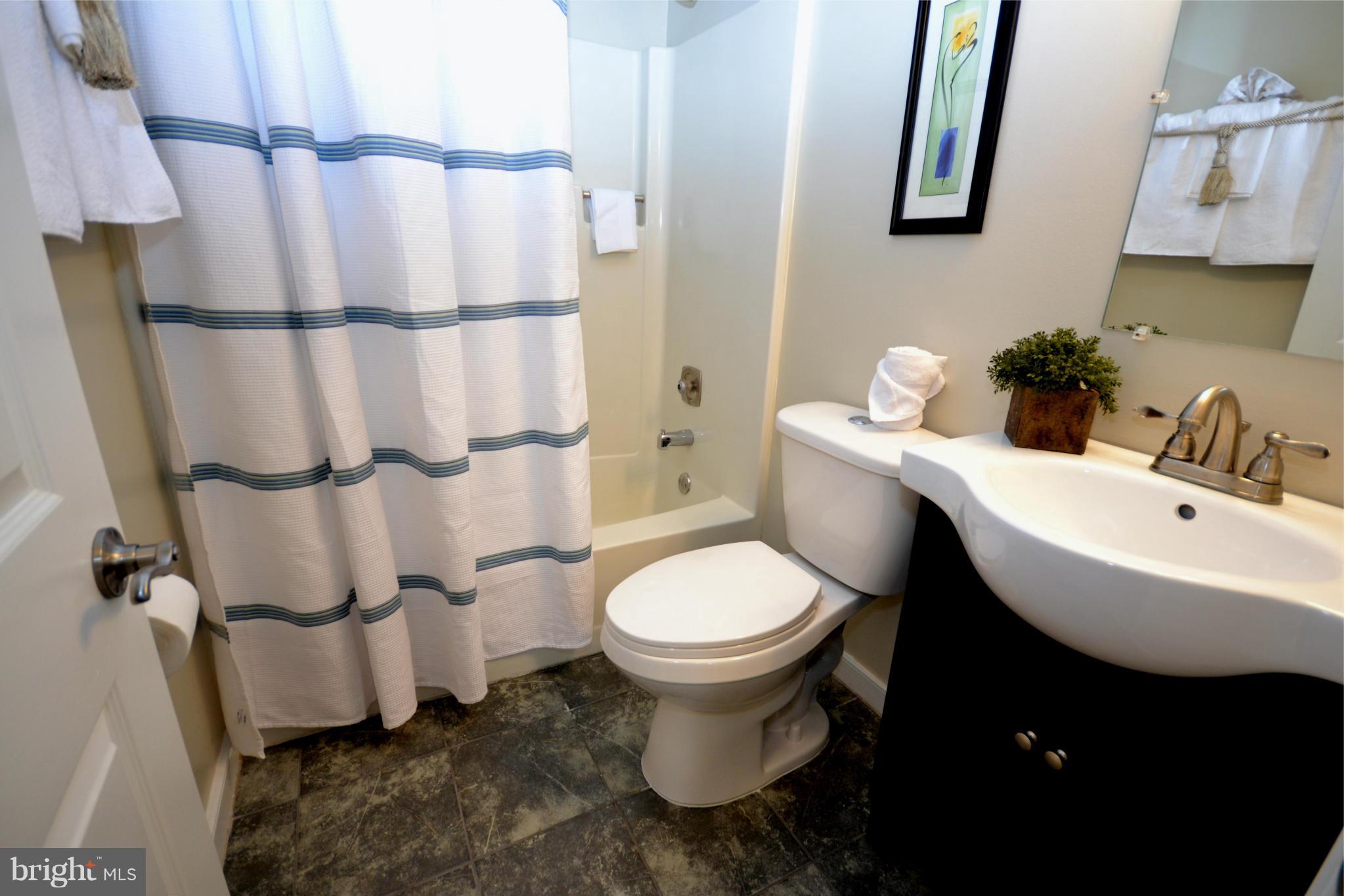 219 Poplar Road Fredericksburg, VA 22406 - Photo 17 of 30 3rd FULL bath in Basement