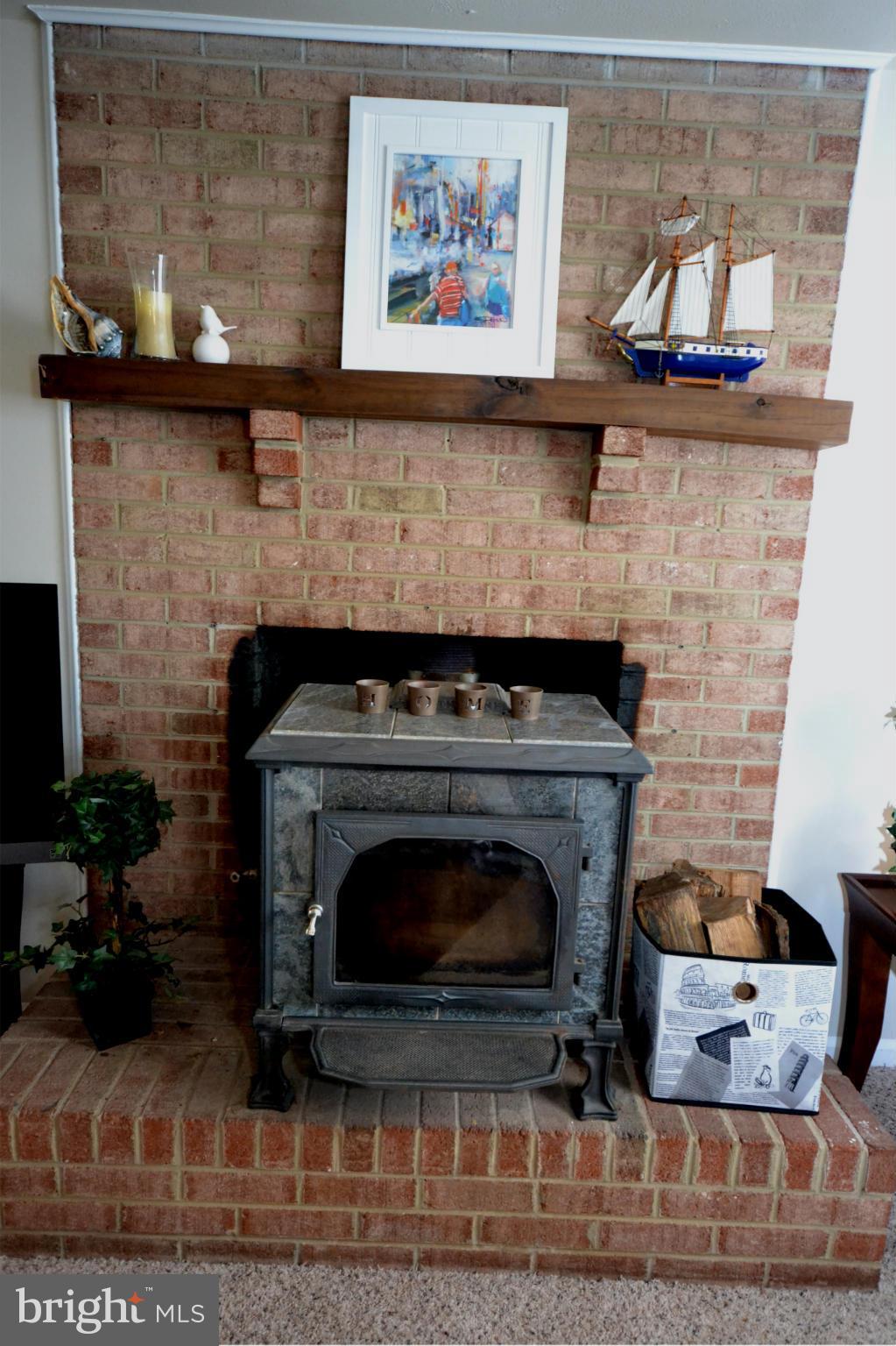219 Poplar Road Fredericksburg, VA 22406 - Photo 20 of 30 Cozy Wood Stove, stacked wood in yard