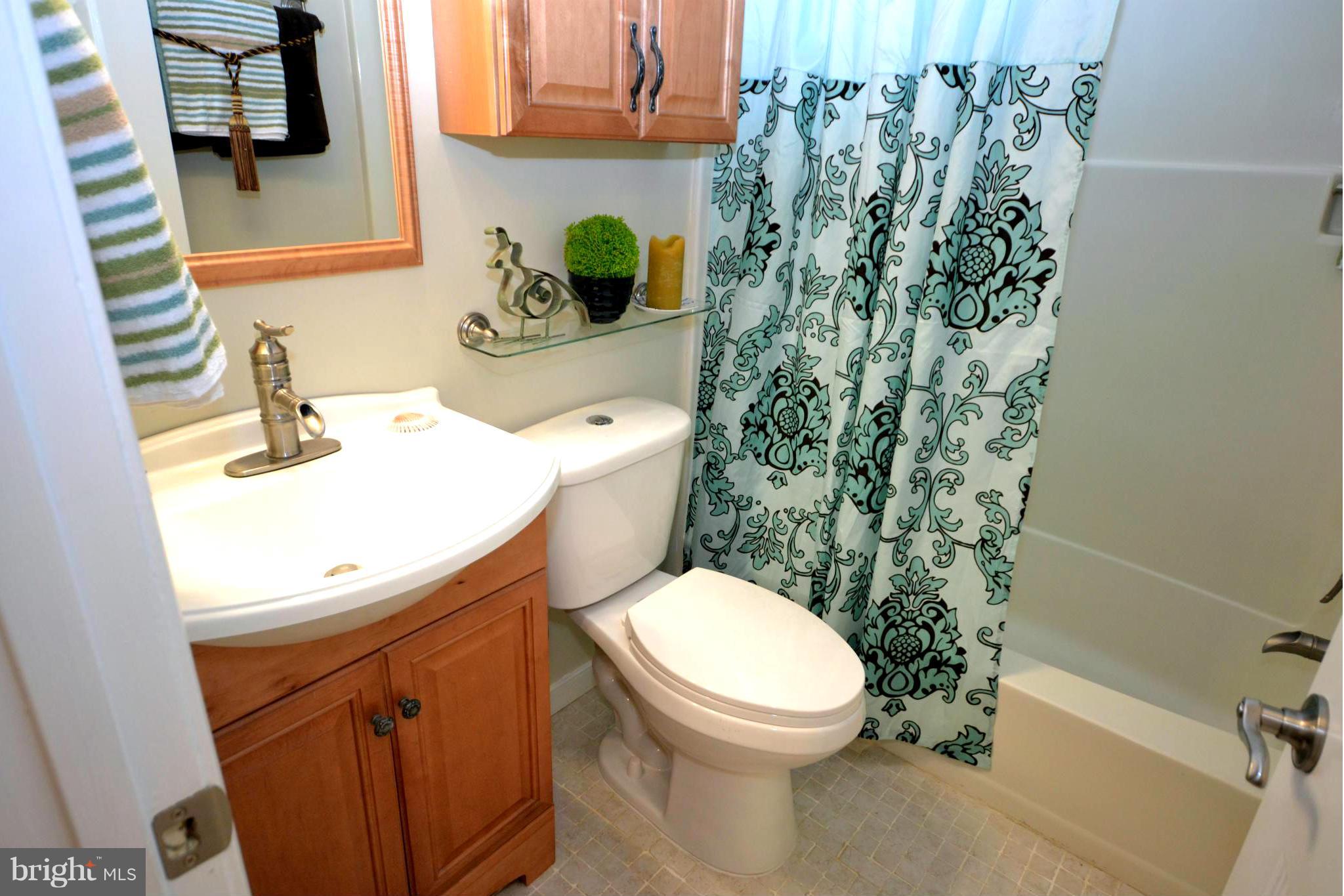 Upgraded Hall Bath