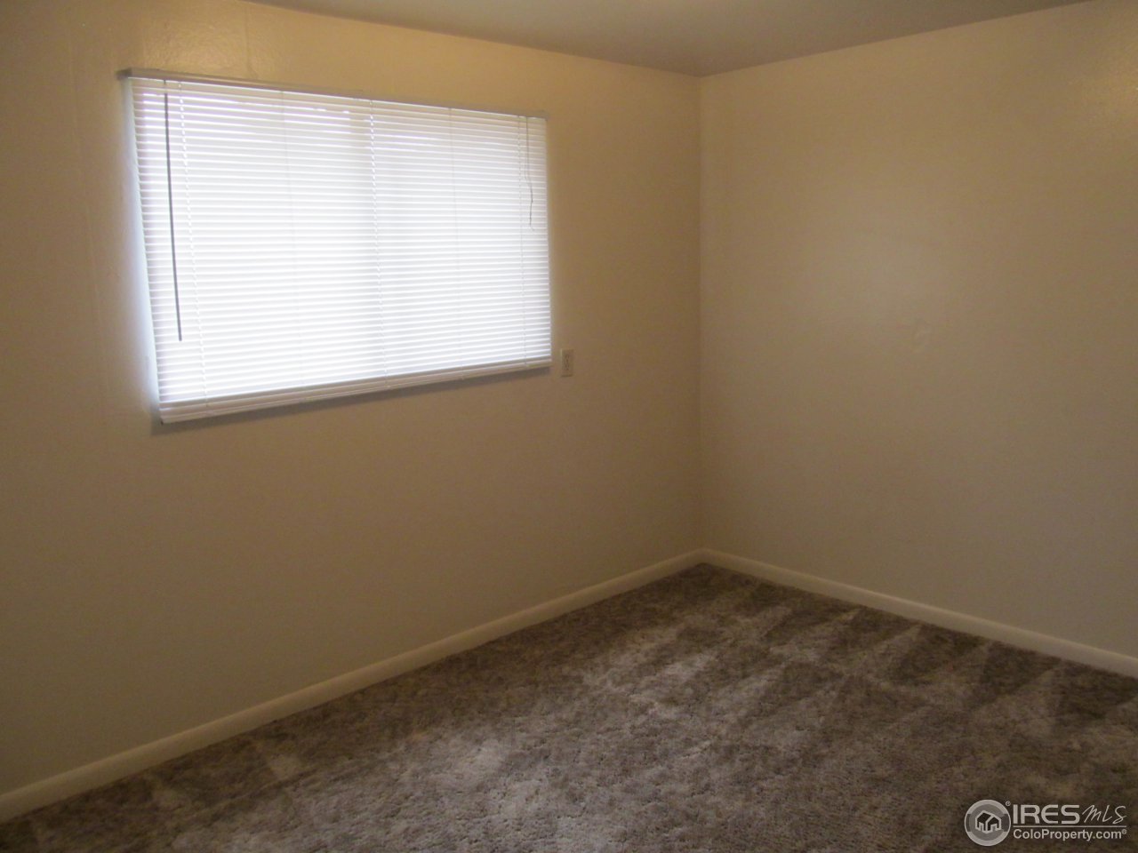 216 Briarwood Road Fort Collins, CO 80521 - Photo 12 of 16 Gallery Image 12