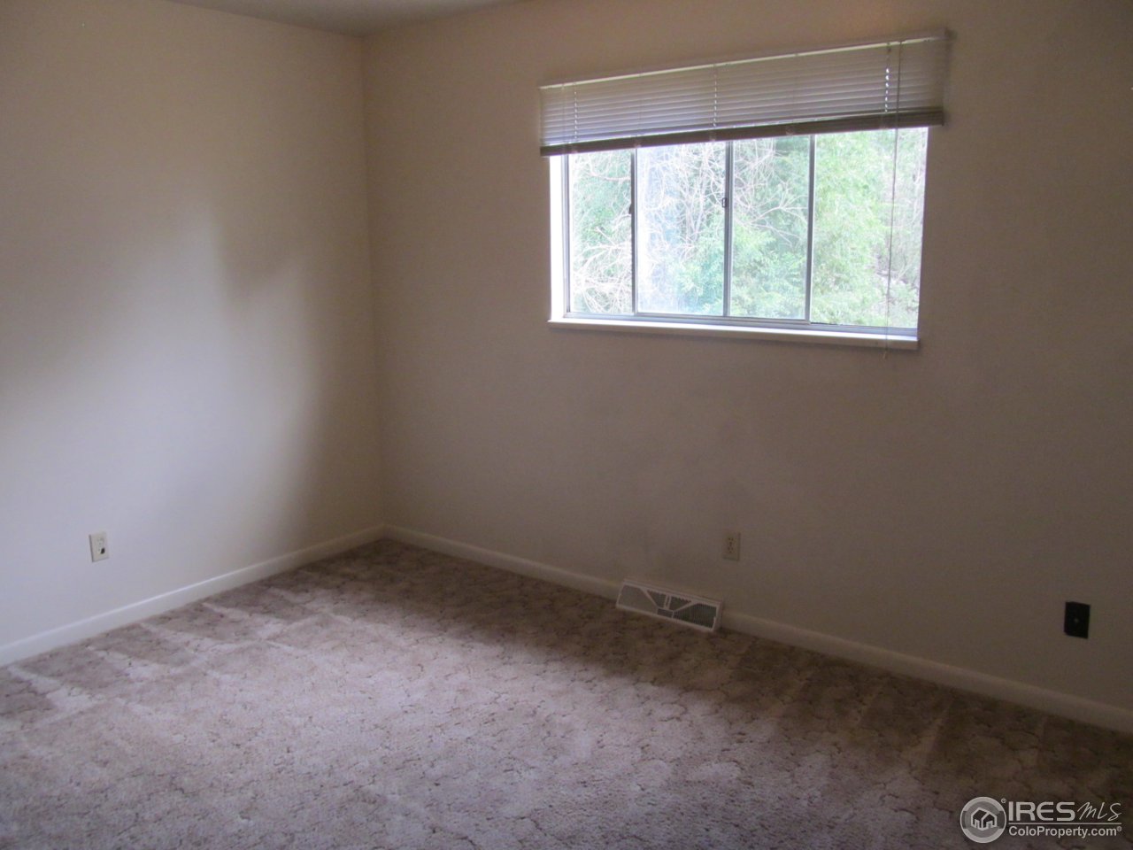 216 Briarwood Road Fort Collins, CO 80521 - Photo 6 of 16 Gallery Image 6