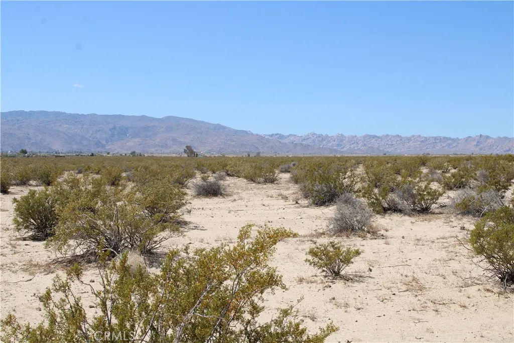 5 Morongo Road Twentynine Palms, CA 92277 - Photo 13 of 21
