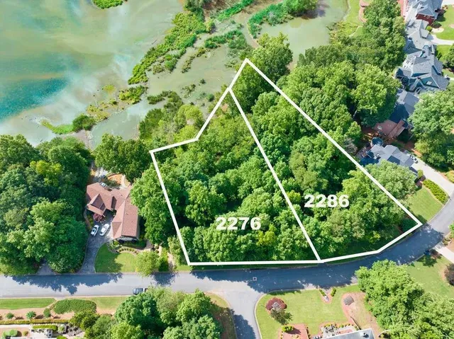 a view of a yard with a tree