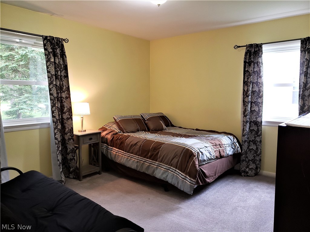 4545 Ammon Road Cleveland, OH 44143 - Photo 10 of 27 Dreamy master bedroom...