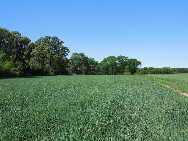 Tbd Harrison Road Dothan, AL 36303 - Photo 1 of 1