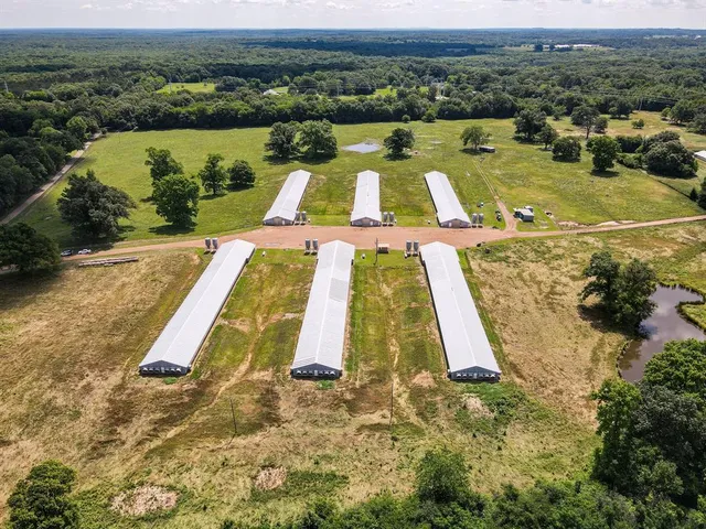 a view of swimming pool with a yard