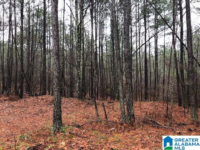0 Renfroe Road, Unit 129 Alpine, AL 35014 - Photo 18 of 25 Gallery Image 18