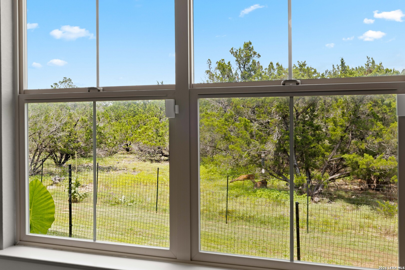 2295 Tanglewood Trail Spring Branch, TX 78070 - Photo 12 of 30