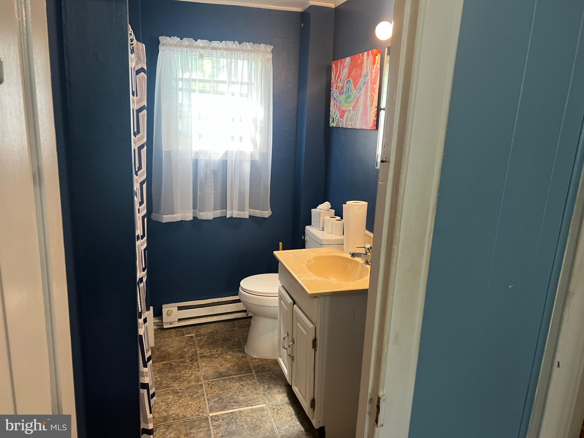 10 Willis Street Cambridge, MD 21613 - Photo 20 of 27 Charming bathroom with vibrant accents.