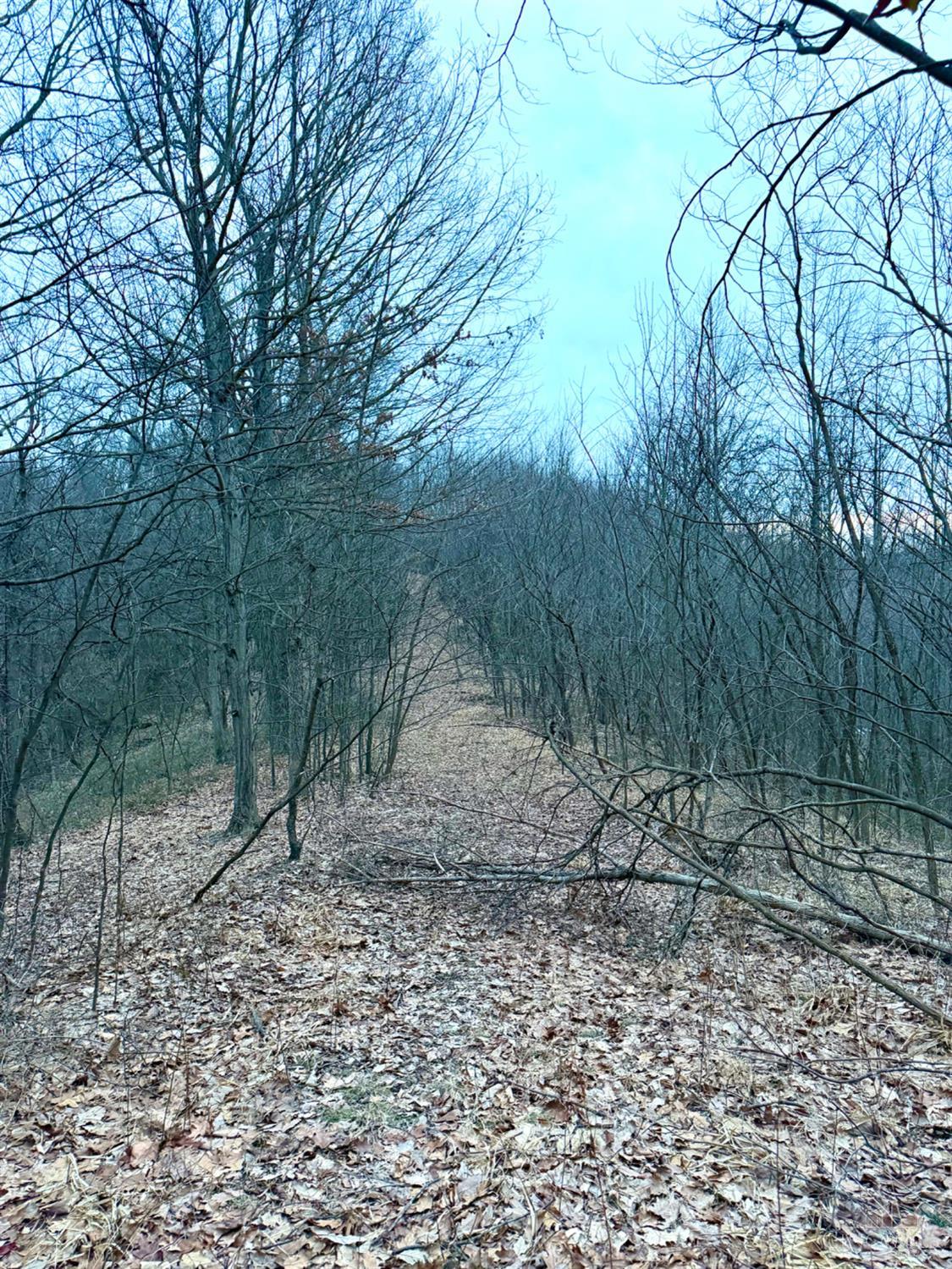 0 Straight Creek Road Waverly, OH 45690 - Photo 53 of 71