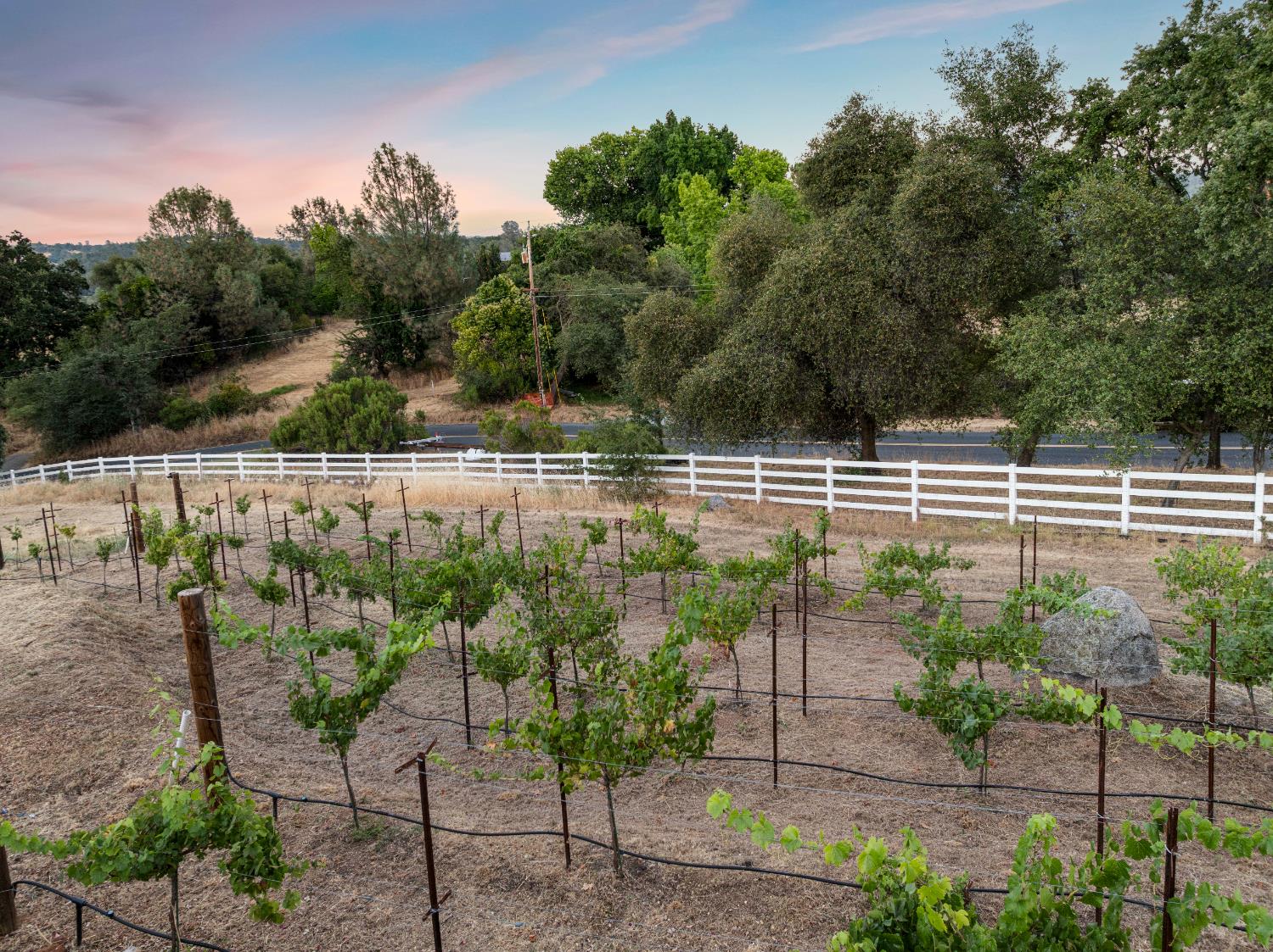 3050 Rattlesnake Road Newcastle, CA 95658 - Photo 66 of 80