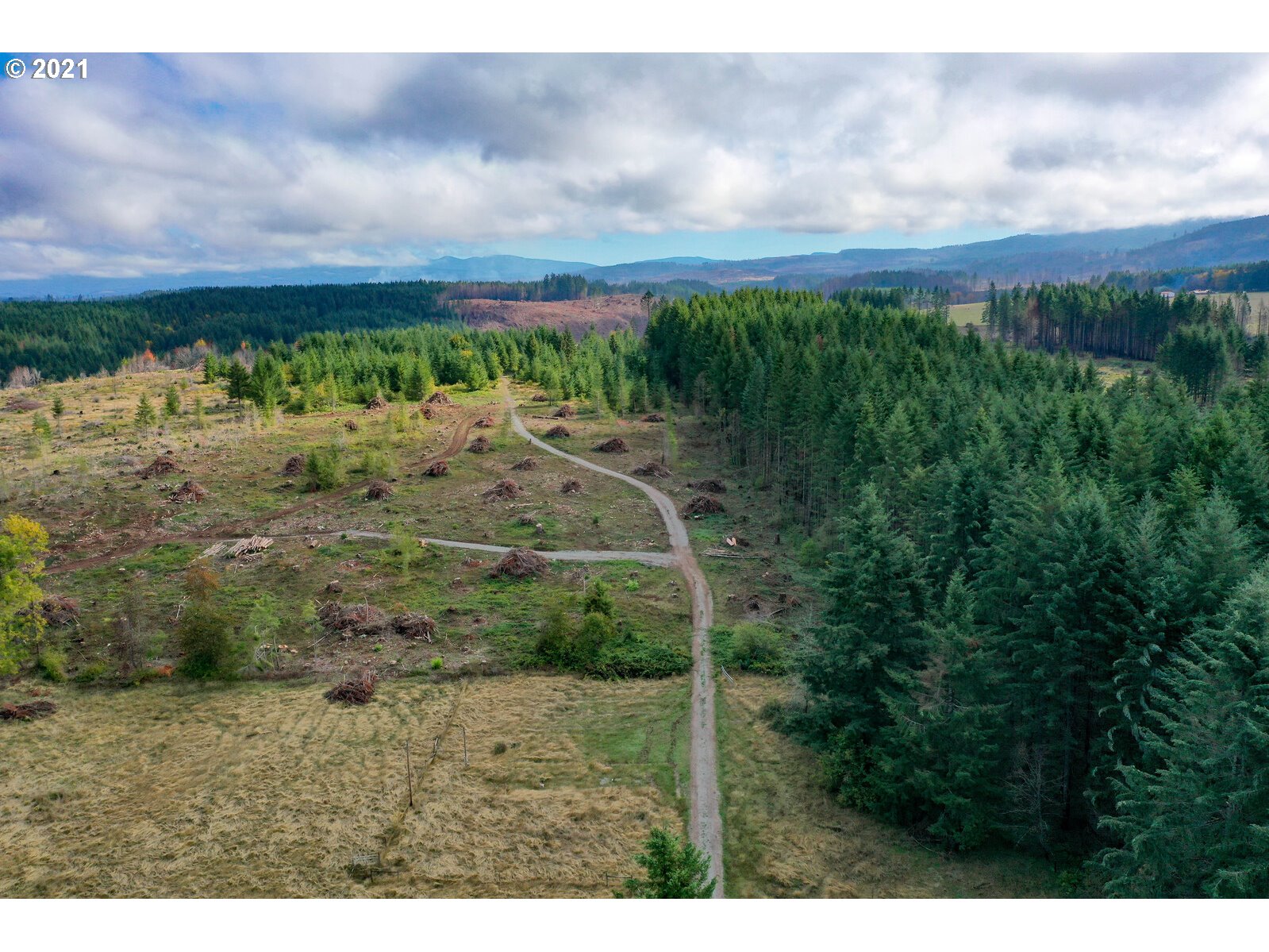 27360 South Shibley Road Colton, OR 97017 - Photo 4 of 11 a view of a yard with plants and large trees