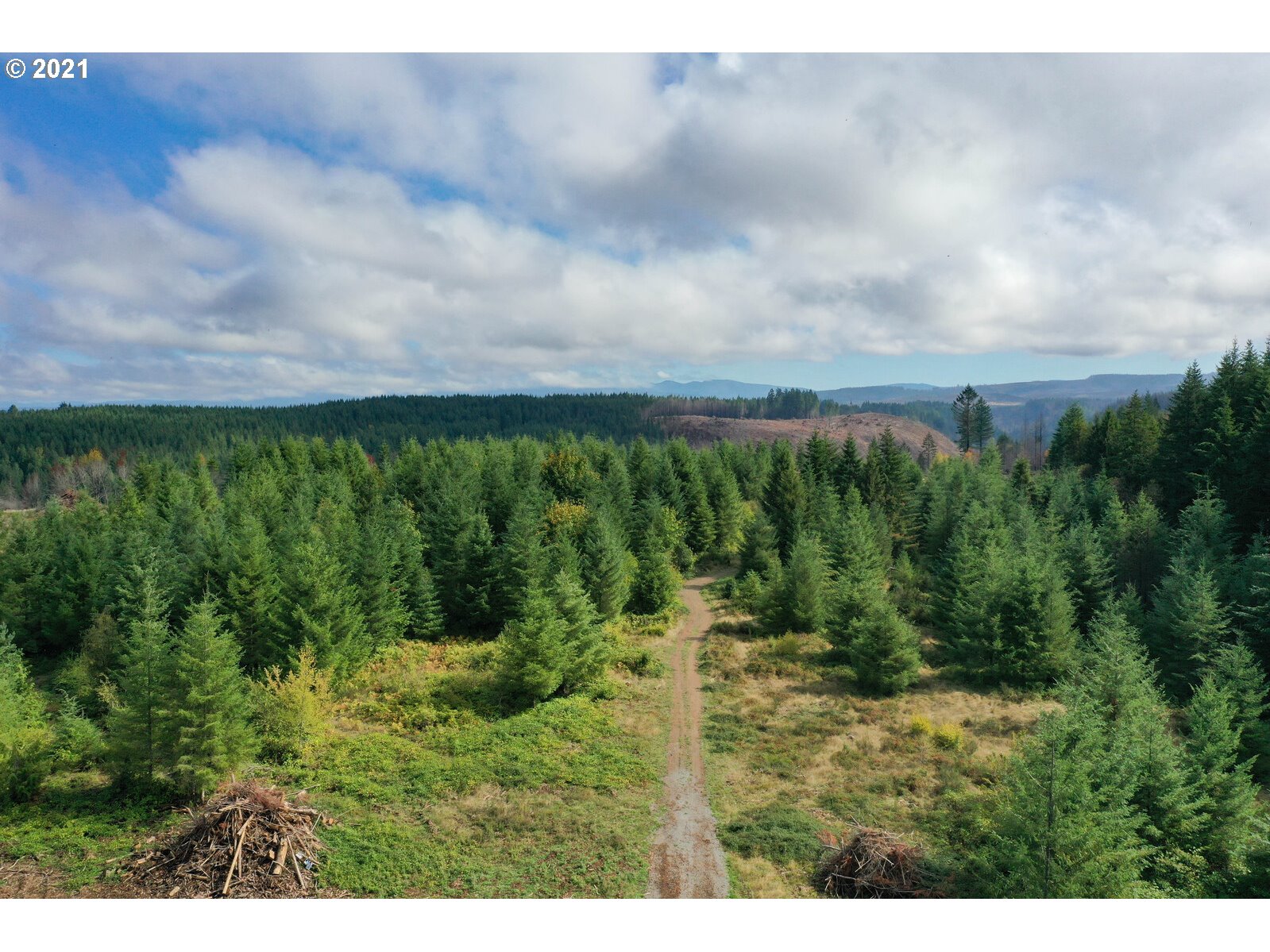 27360 South Shibley Road Colton, OR 97017 - Photo 5 of 11
