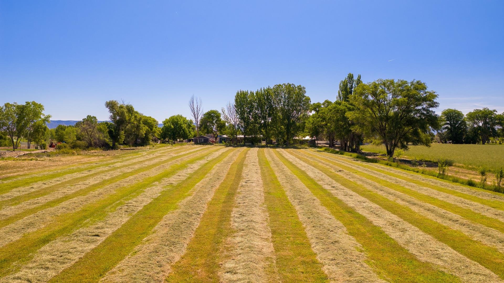 1221-17 17 1/2 Road Fruita, CO 81521 - Photo 33 of 36