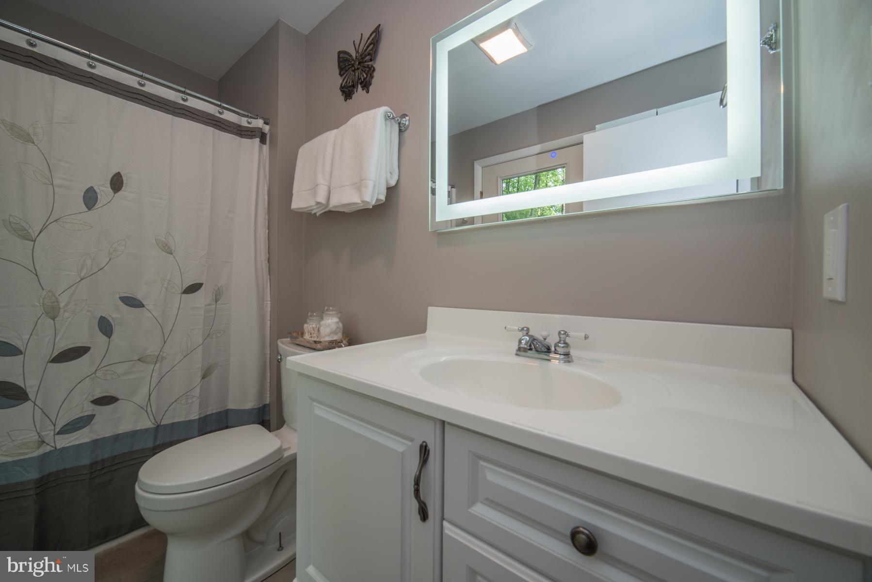 4203 Manorview Road Glen Arm, MD 21057 - Photo 17 of 30 Master bath with lighted vanity mirror
