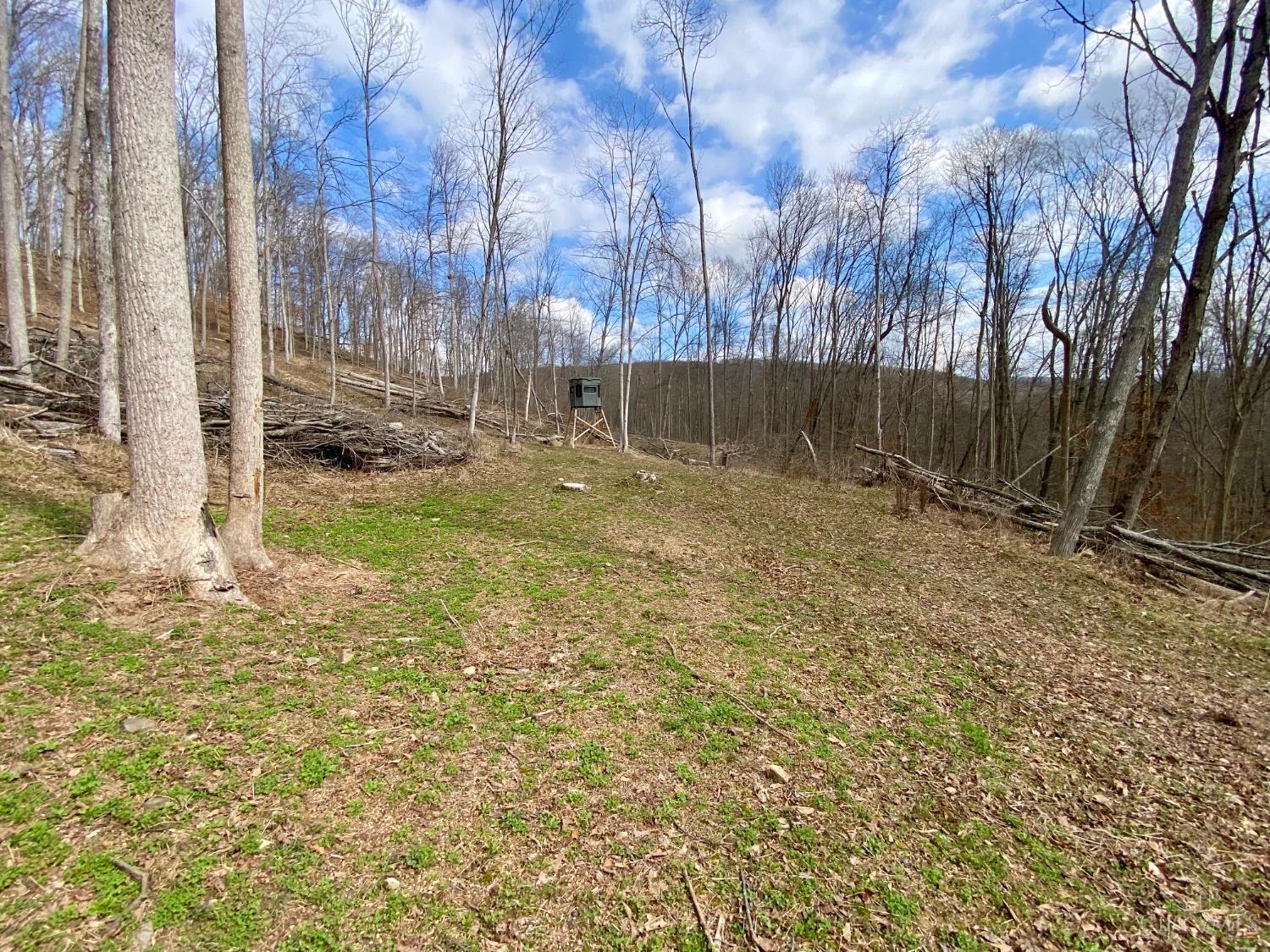 Ac Beech Fork Road Peebles, OH 45660 - Photo 15 of 49