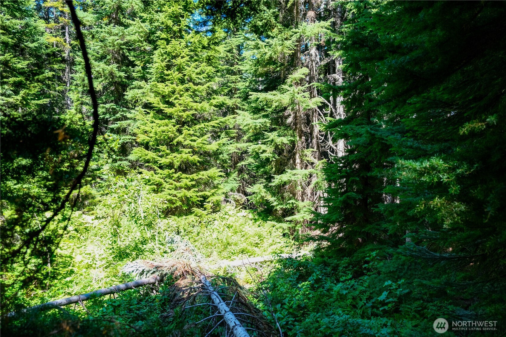 34103 Stevens Road Leavenworth, WA 98826 - Photo 8 of 17 Gallery Image 8