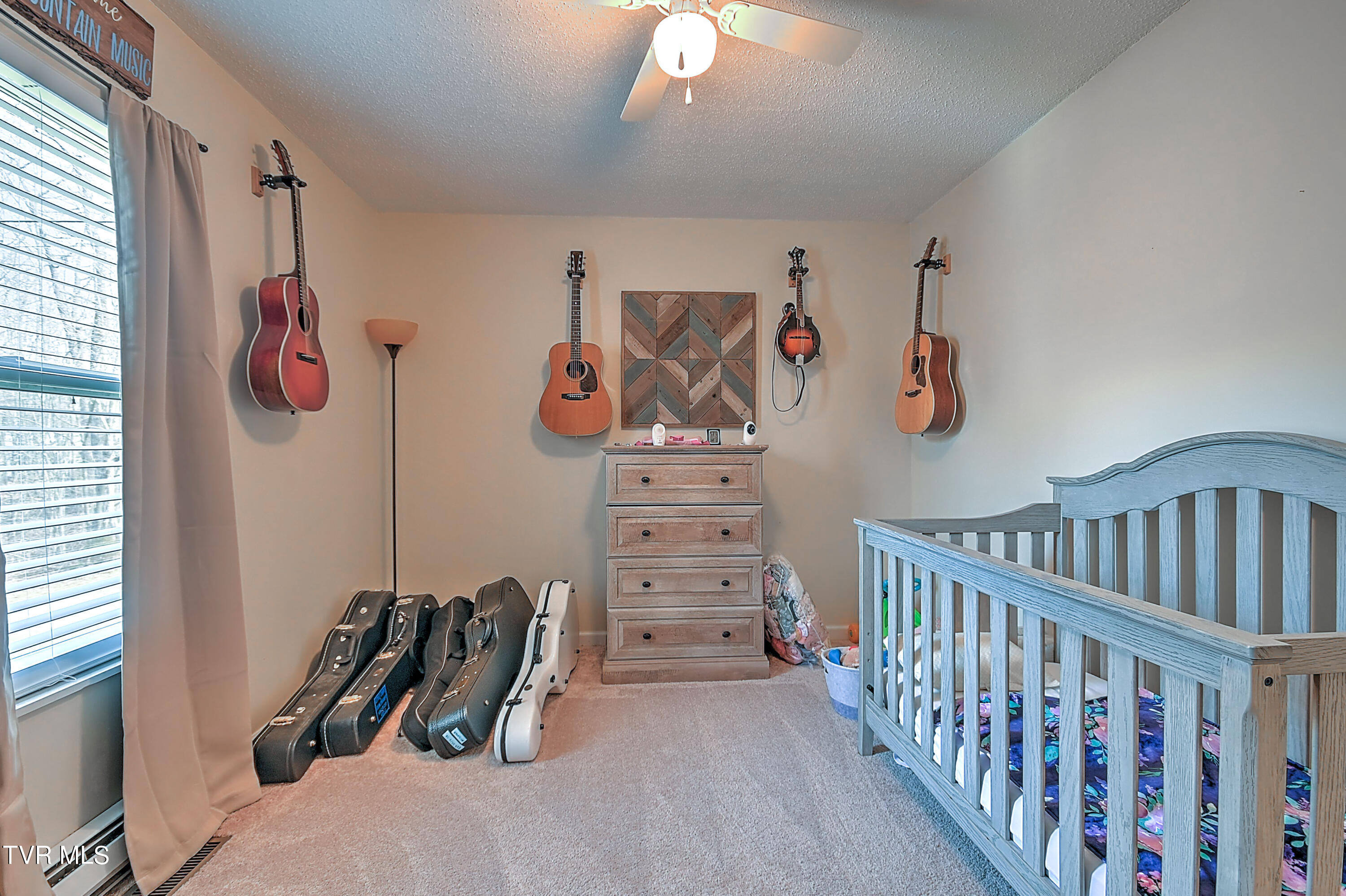 159 Frank Hilbert Road Jonesborough, TN 37659 - Photo 20 of 28 Frank Hilbert KW-11